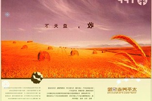 vivoT15G手机图赏：高刷原色屏，活力电光青