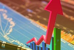 海宁皮城2021年归母净利润同比增长68.52%皮革龙头进入全新发展时期同比增长36.05%