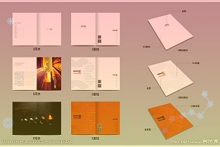 舍得酒业等2021年涨幅领先超过半数的公司股价下跌