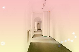 《证券日报》从东宝生物获公司申请的药典二部明胶登记号关联评审工作正在加快推进