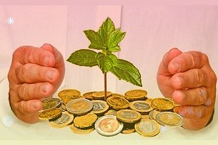 公司在2021年投入大幅增长的情况下实现了利润的持续增长