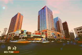 欧洲议会议长大卫·萨索利2个月后康复